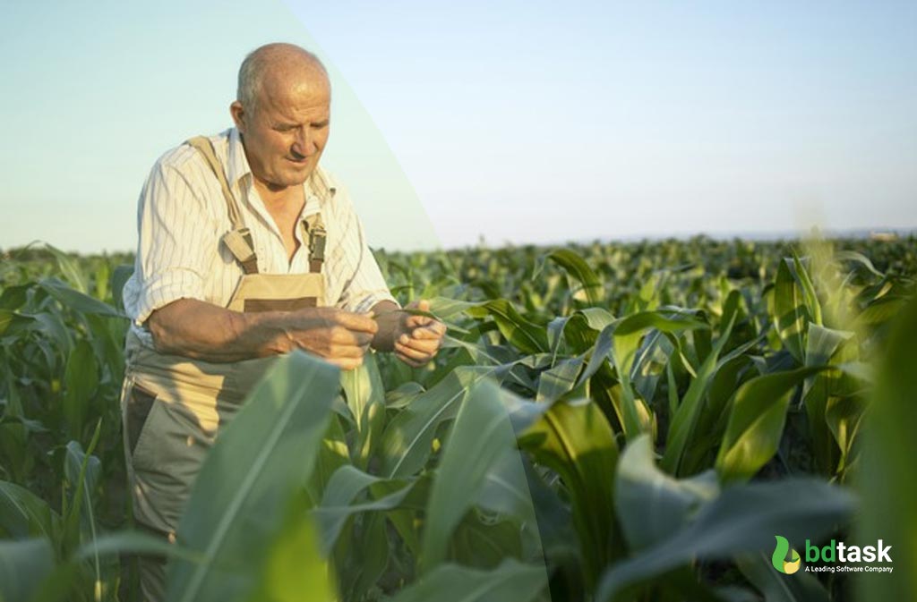 Connecting with Farms Directly