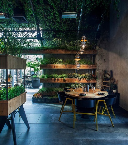 Cover Up your Cafe with a Vibe of Nature