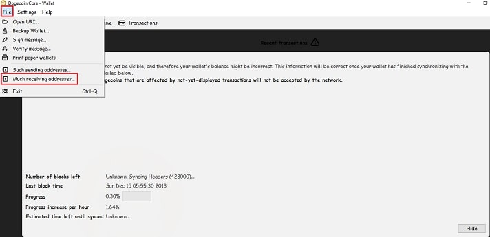 Dogecoin Wallet Setup