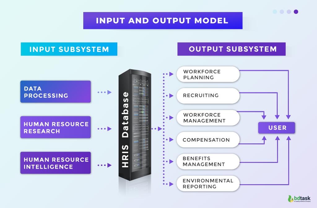 Input and Output Model