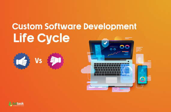 positive & negative side of custom sdlc