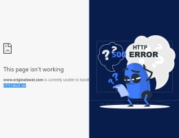 Are you Getting HTTP ERROR 500?