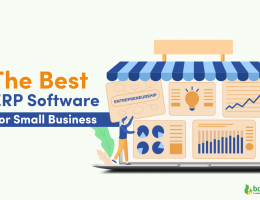 Best ERP Software for Small Businesses