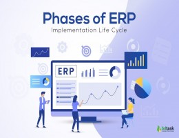 ERP implementation life cycle