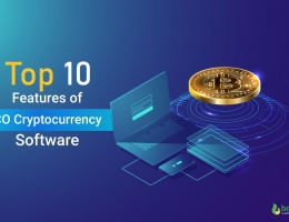 Top 10 Features of ICO Cryptocurrency Software