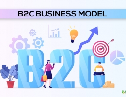 B2C Business Model and Examples