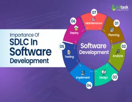 importance-of-sdlc-in-software-development