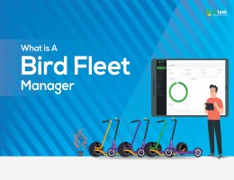 what is a bird fleet manager