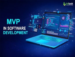What Is MVP In Software Development
