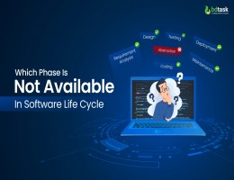 which phase is not available in software life cycle