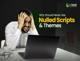 why should never use nulled scripts themes