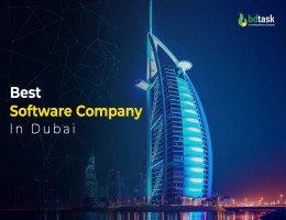 best software company in dubai