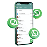 WhatsApp Order & Chat